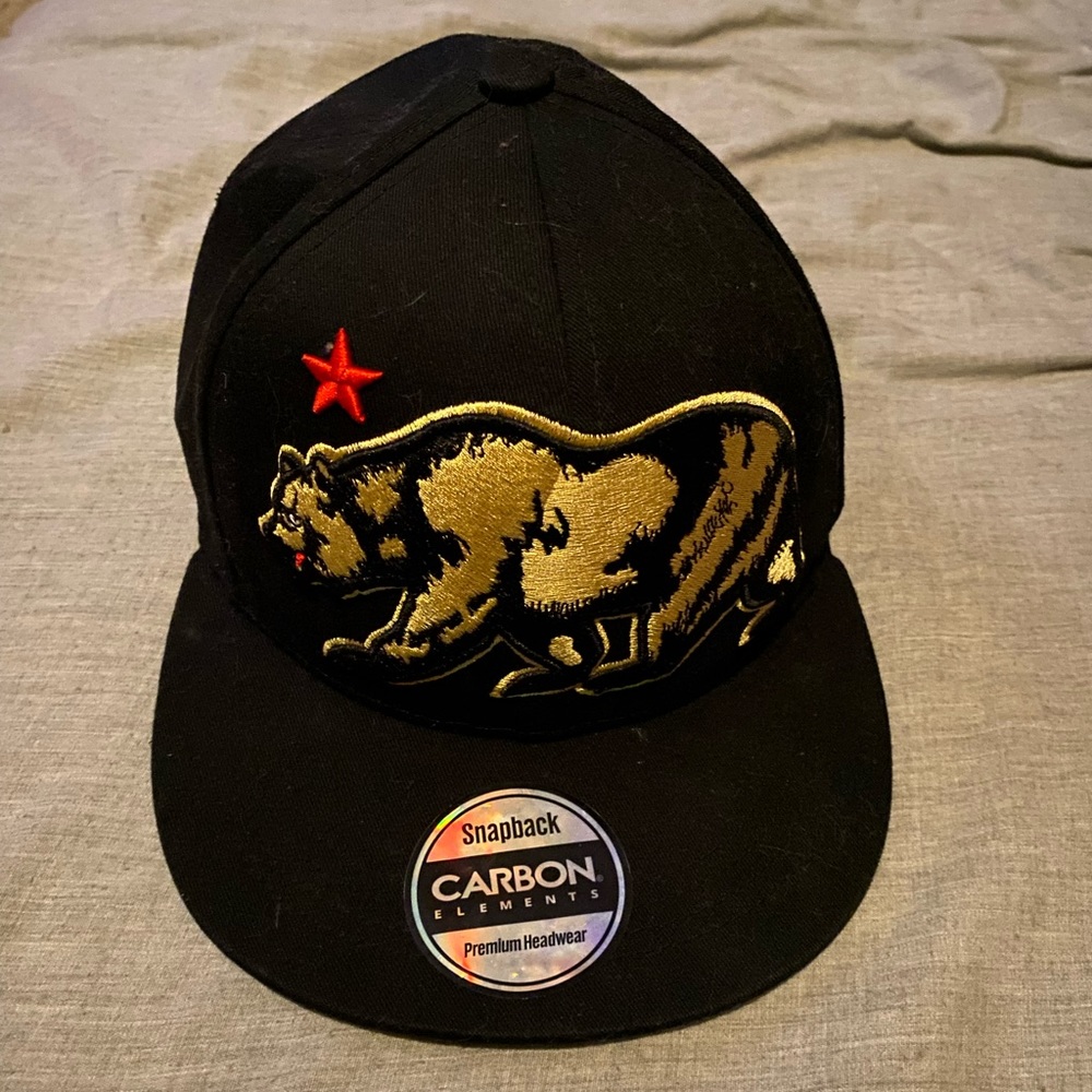 Carbon Elements Hat - image 1